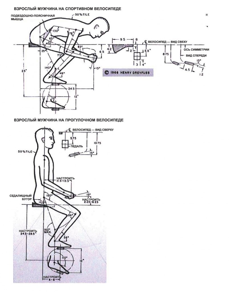 Взрыв схема strida